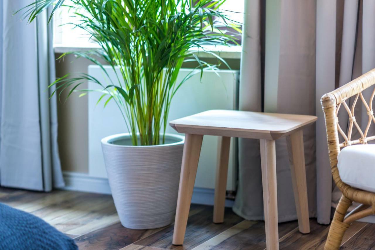 "Havana" Apartament Premium Przy Starym Rynku Познан Екстериор снимка